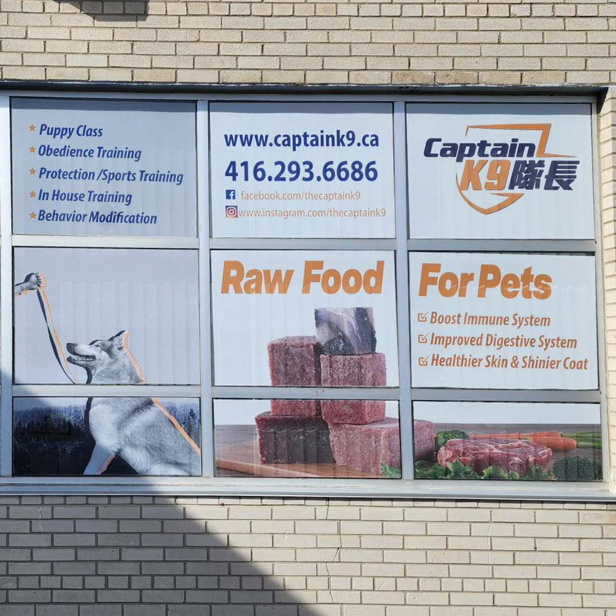 Special Deal- Window Perforation Vinyl